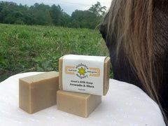 Avocado Shea Butter