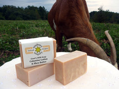 Calamine Shea Butter