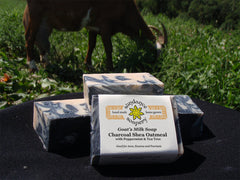 Charcoal Shea Oatmeal Peppermint Tea Tree