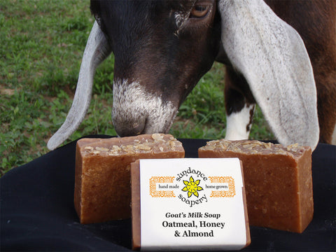 Oatmeal Honey Almond